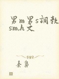 男m男s调教(sm,h文封面