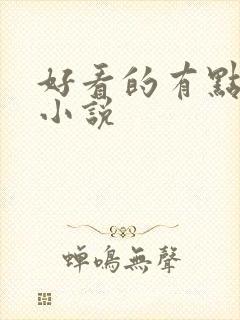 好看的有点h的小说