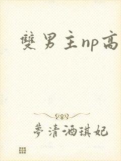 双男主np高h