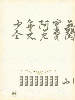 少年阿宾无删减全文免费阅读笔趣阁