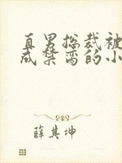 直男总裁被调教成禁脔的小说