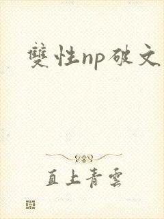 双性np破文