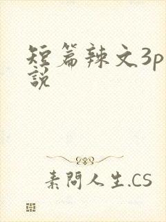 短篇辣文3p小说