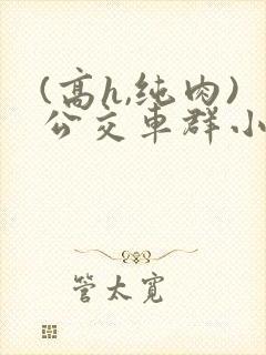 (高h,纯肉)公交车群小说