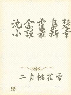 沈念霍枭楚莹莹小说最新章节更新免费阅读