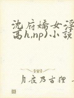 沈府娇女淫史(高h,np)小说封面