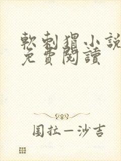 软刺猬小说全文免费阅读封面