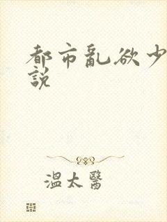 都市乱欲少妇小说封面