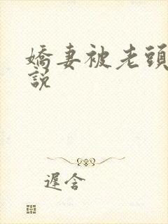 娇妻被老头干小说