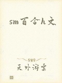sm百合h文