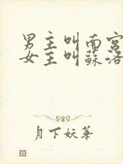 男主叫南宫流云女主叫苏洛的小说