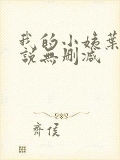 我的小姨叶凡小说无删减