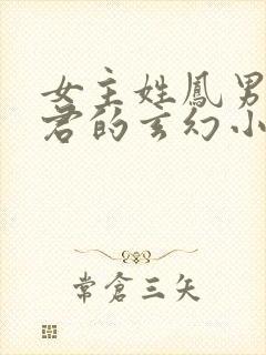 女主姓凤男主姓君的玄幻小说