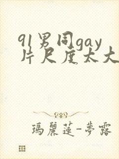 91男同gay片尺度太大封面