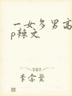 一女多男高hnp辣文