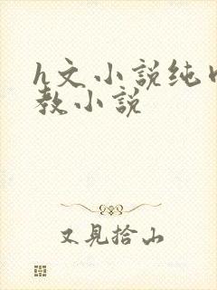 h文小说纯肉调教小说