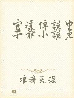 官道传说中的太子爷小说免费阅读