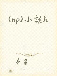 (np)小说h