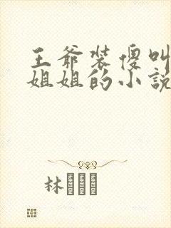 王爷装傻叫女主姐姐的小说