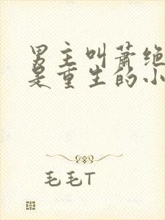 男主叫萧绝女主是重生的小说