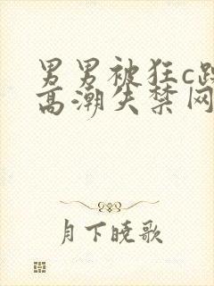 男男被狂c躁到高潮失禁网站