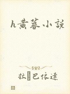 h黄蓉小说
