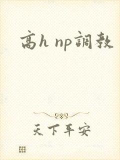 高h np调教封面