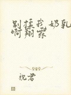 别揉我奶乳嗯～啊翔霖