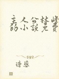 主人公林峰宁欣的小说免费阅读