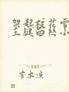 架起校花雪白的玉腿白丝小说封面