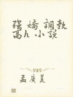 强 娇 调教 高h 小说