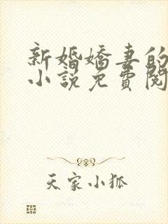新婚娇妻的秘密小说免费阅读