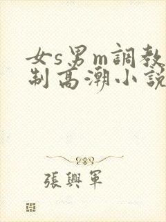 女s男m调教控制高潮小说h