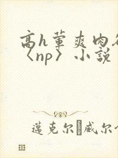 高h荤爽肉欲文〈np〉小说