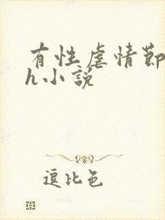 有性虐情节的高h小说封面