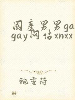 国产男男gaygay网站xnxx封面