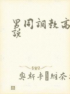 男同调教高h小说