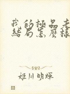 我的极品老婆大结局怎么样