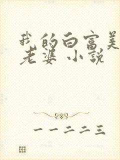 我的白富美总裁老婆 小说封面