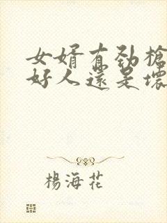 女婿有劲枪枪是好人还是坏人