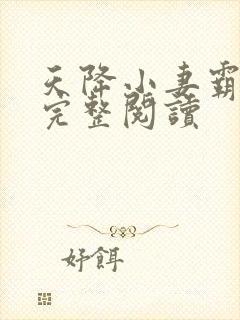 天降小妻霸道爱完整阅读封面