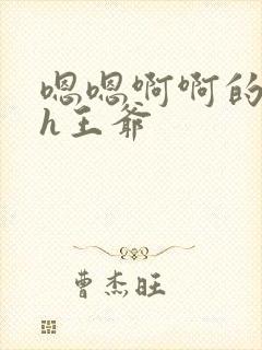 嗯嗯啊啊的小说h王爷