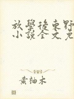 放学后东野圭吾小说全文免费阅读