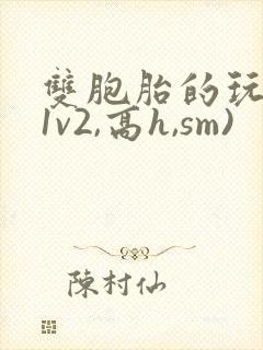 双胞胎的玩具(1v2,高h,sm)