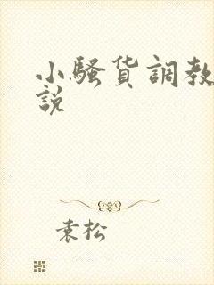 小骚货调教h小说