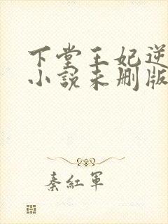 下堂王妃逆袭记小说未删版完整