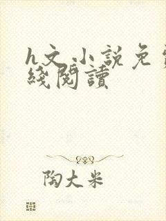 h文小说免费在线阅读