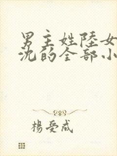 男主姓陆女主姓沈的全部小说