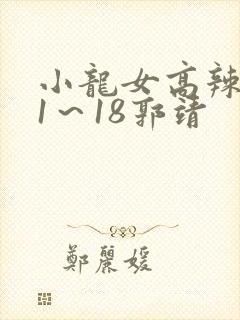 小龙女高辣h文1～18郭靖封面
