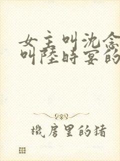 女主叫沈念男主叫陆时宴的小说